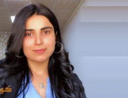 ئه‌ڤین عه‌لی هه‌ركی